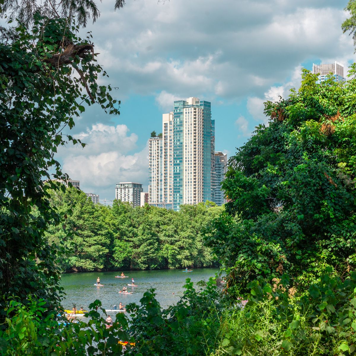 A city skyline framed by trees above a lake, with people paddleboarding on the water.